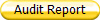 Audit Report